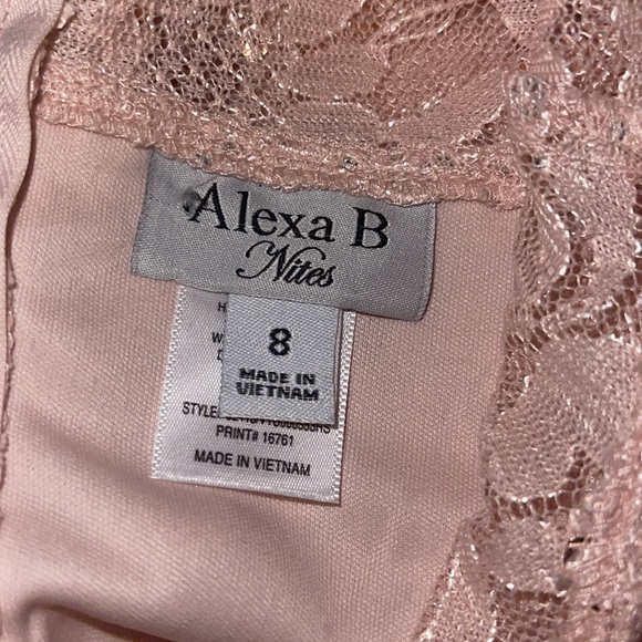 NWT Alex B beautiful elegant lace sequins dress pink size 8 - Picture 9 of 10